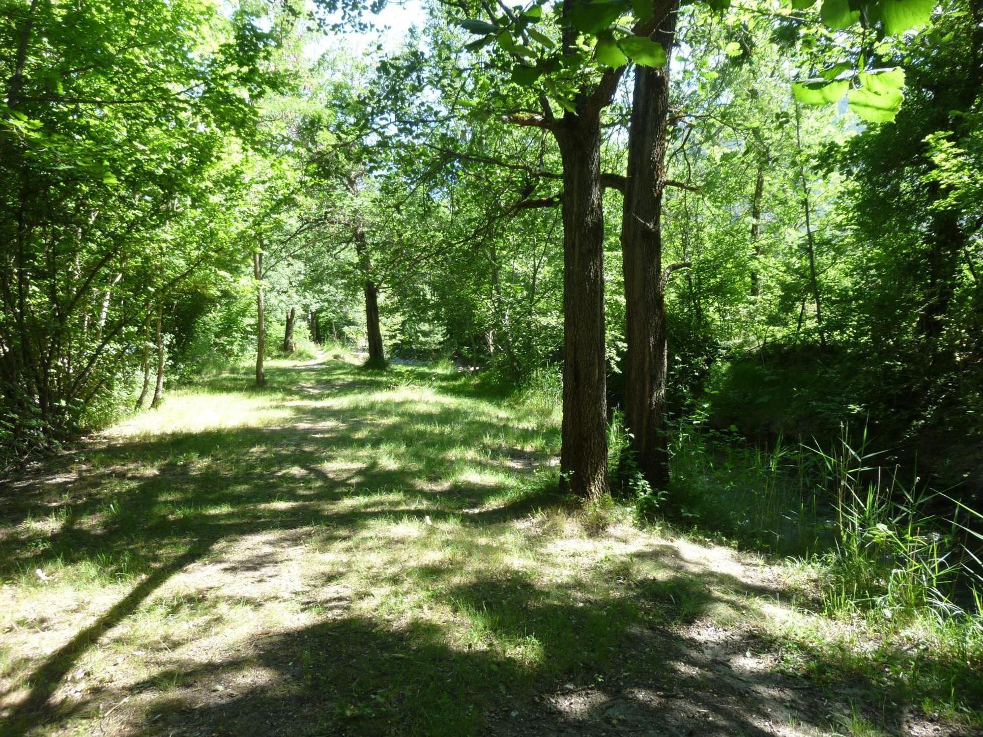 Camping Notre Dame Castellane Exterior photo